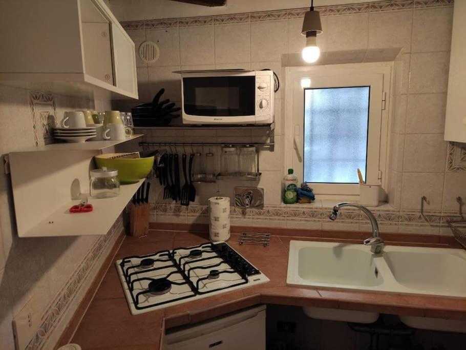 Vicolo Del Bologna Apartment Roma Dış mekan fotoğraf