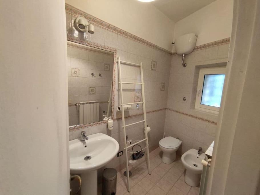Vicolo Del Bologna Apartment Roma Dış mekan fotoğraf